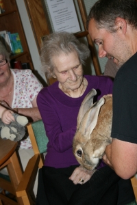 That's what you call a giant rabbit!