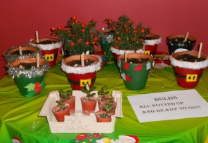 Our festive pots