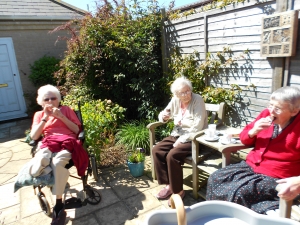 Ice creams in the garden