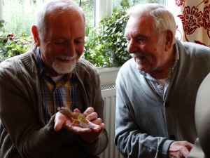 Wally and his son admiring the gecko