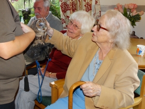 Stella with the baby tawney owl