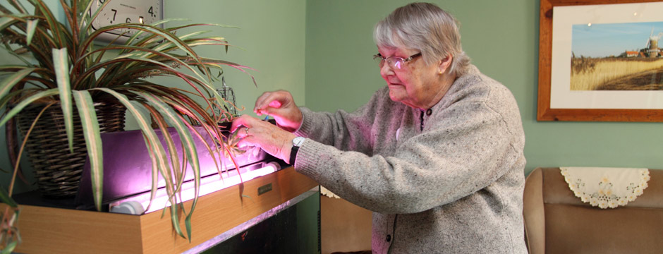 ealing-house-resident-feeding-fish